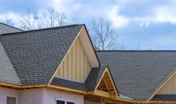 Best Roof Moss and Algae Removal  in Fairview, NY
